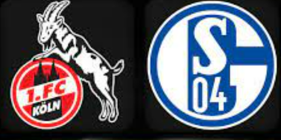 FC Koln vs Schalke Goals and Highlights | Bundesliga 